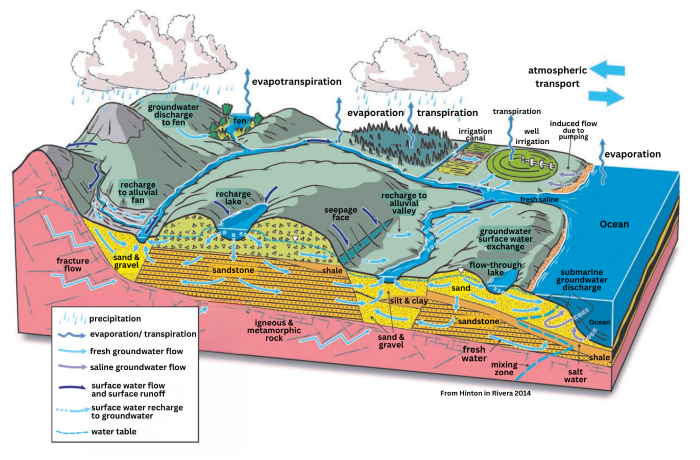 The entire hydrological cycle from precipitation and snowmelt to surface water and groundwater interactions explained in graphic image.